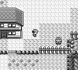 Pokemon Brown 2009 (red hack)